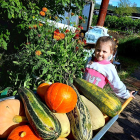 Тыква и кабачки из Тынды