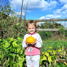 Яркая тыковка,Тында