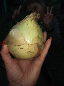 Село Ромны "Гигант Чипполино-2021"