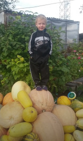 Тыквы от бабы Любы из Магдагачинского района