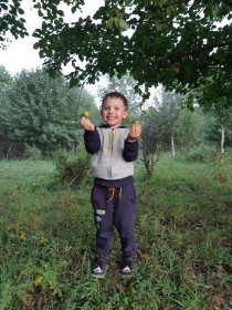 Егор и лесные груши, Горный Алтай