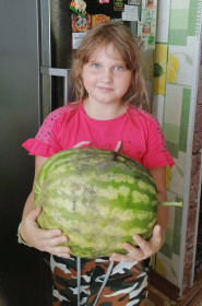 Арбузик 8,5 кг из Тамбовки