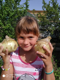 Гигантский лук, с. Ромны