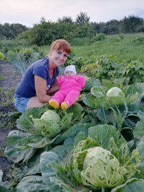 Капустный урожай: А вот и мы! Новоалександровка.