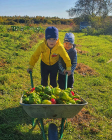 Перец и бабушкины помощники. П. Серышево