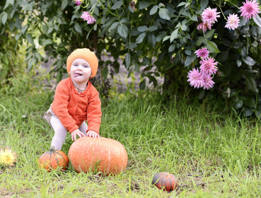 Маша и три тыквы. п. Моховая Падь
