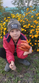 Морковь-осьминожка. с. Нижняя Полтавка