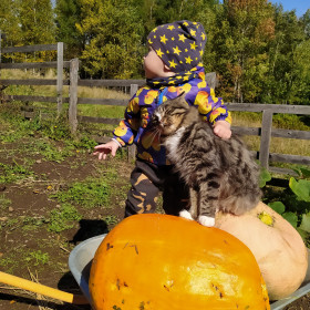 Тыква из посёлка Иса