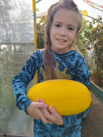 Дыня из посёлка Иса