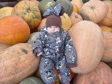 Королева тыквы в Нижней Полтавке