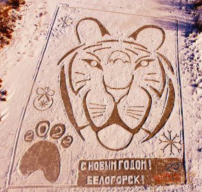 Тигриный привет из Белогорска