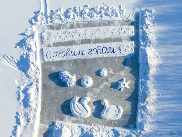 Лебеди на снегу в с. Ивановка