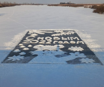 Новогодний енот из села Марково