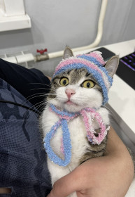 Масяня, 8 месяцев. г. Благовещенск