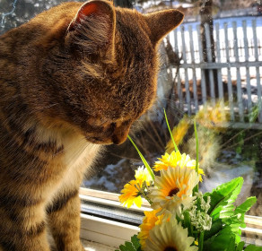 Марыся, 9 лет. с. Резуновка, Тамбовский район