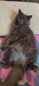 Лёля, 1 год 7 месяцев. г. Благовещенск