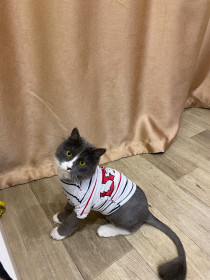 Дымка, 1 год. г. Благовещенск