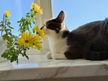 Тима, 3 года. г. Благовещенск