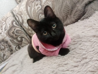 Пуговка, 3 месяца.