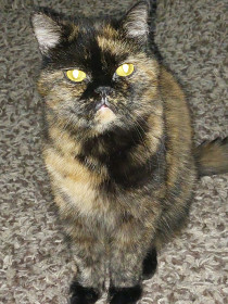 Леся, 15 лет. г. Благовещенск