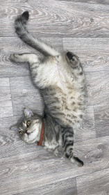 Филипп, 3 года, с. Константиновка