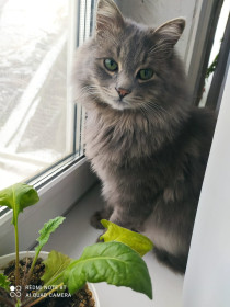 Кеша, 2 года. с. Тыгда, Магдагачинский район