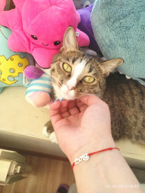 Пушкин, 1,5 года. г. Благовещенск