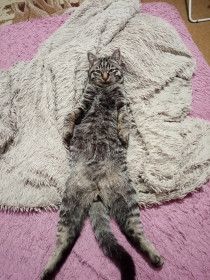 Филимон, 8 месяцев