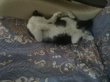 Василий, 1 год