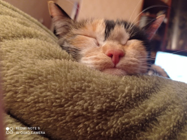 Буся, 6 лет. г. Тында