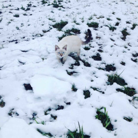 Сэм. 5 месяцев