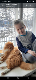 Рыжий, 5 лет, 3,5 кг. г. Тында