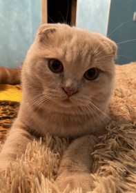 Филя, 1 год. г. Райчихинск