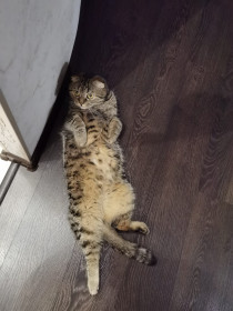 Василий, 3 года. г. Благовещенск