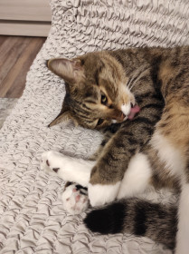 Тихон, 9 лет. г. Благовещенск