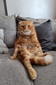 Тимофей, 2 года. г. Благовещенск