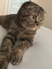 Мелисса, 6 лет, г. Благовещенск