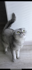 Милка, 4 года, г. Благовещенск