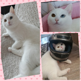 Мишель, 5 лет, п. Талакан