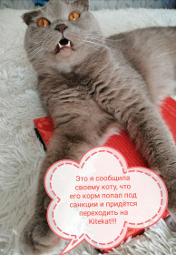 Мирон, 4 года, п. Талакан