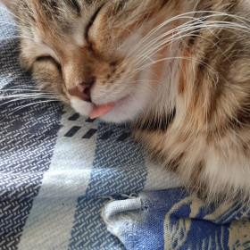 Серафима, 2 года. г. Благовещенск