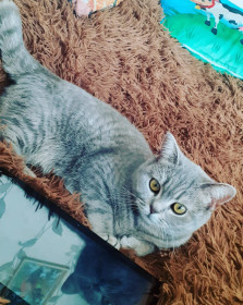 Хлоя, 2 года