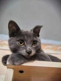 Стасик, 8 месяцев