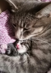 Соня, 2 года. г. Райчихинск