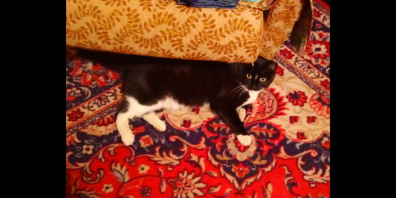 Виктор, 5 лет