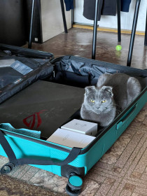 Чита, 3 года. г. Благовещенск