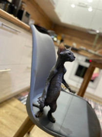 Кокос, 3 месяца. г. Благовещенск