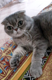 Дуся, 7 лет. г. Зея, Амурская область