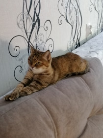 Анфиса, 10 лет