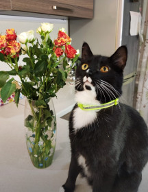 Михаил, 5 лет. г. Благовещенск